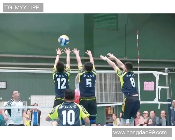 深圳排球队战术解析：聚焦团队协作与技术创新的完美结合